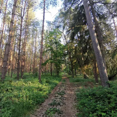Doppelhaushälfte Ostwind Vom Naturhof Usedom * Bannemin