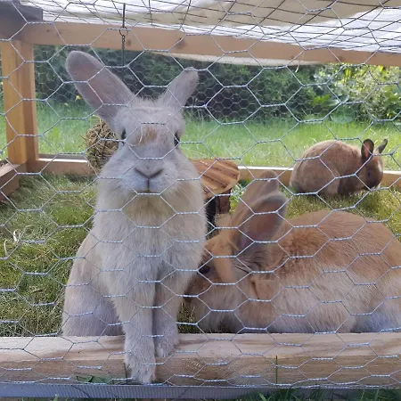 Doppelhaushälfte Ostwind Vom Naturhof Usedom * Bannemin
