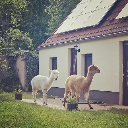 Doppelhaushälfte Ostwind Vom Naturhof Usedom * Bannemin